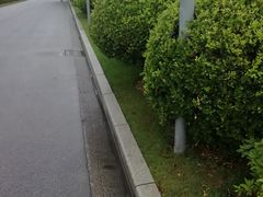 -浦东市民中心-停车场