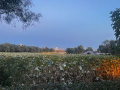 -长春市南湖公园