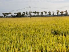-嘉北郊野公园