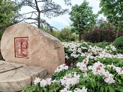 -莲花池公园