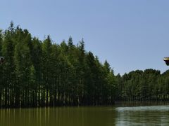 -苏州太湖国家湿地公园