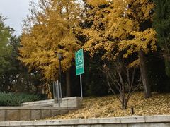 -玲珑塔公园