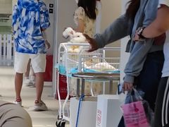 -怪兽屋·羊驼·猫咖·狗咖(俊华广场店)