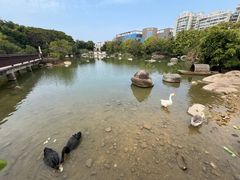 -厦门悦华酒店