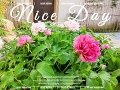 -青果巷历史文化街区