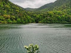 -广州市石门国家森林公园