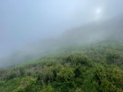 -白草畔自然风景区