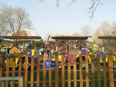 -朝阳公园游乐园