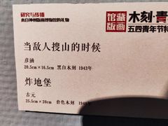 -四川美术馆