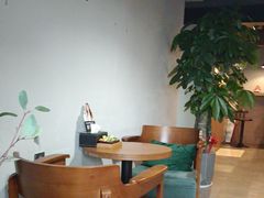 -梵猫·新养生(湛江鼎盛店)