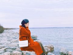 -合肥滨湖国家森林公园