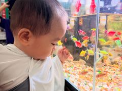 -叶存利海鲜大馅饺子(海宁路总店)