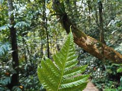 -中国科学院西双版纳热带植物园