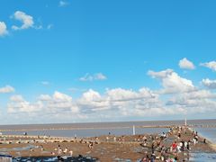 -南汇嘴观海公园