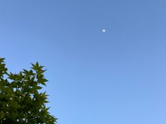 -鸿运酒楼
