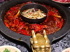 -蜀大侠火锅(建设路第五大道店)