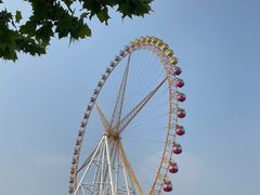 -辛玛王国游乐园