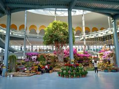 -南通洲际绿博园