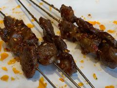 -鼎原力量东北吊炉烧烤(临河街店)