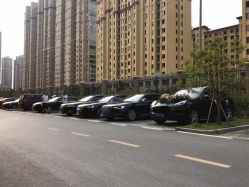 -蚂蚁婚车