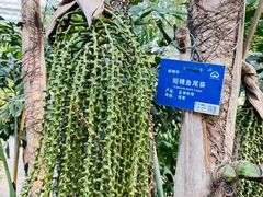 -国家植物园南园