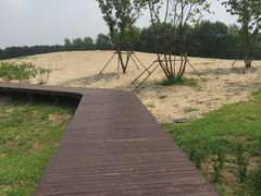 -东郊湿地公园