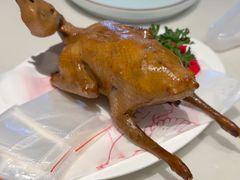 -燕郊烧鸽子(酷车小镇店)