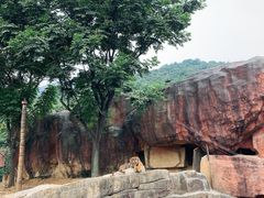 -无锡动物园·太湖欢乐园