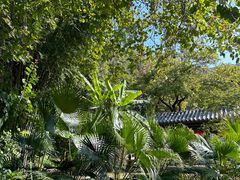 -广州市白云山风景名胜区