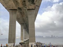 -中澳友谊花园