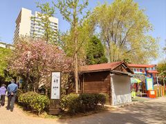 -洛阳市牡丹公园