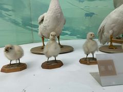 -国家自然博物馆