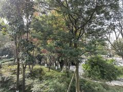 -成飞公园