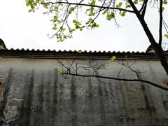 -碧江金楼