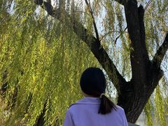 -迎泽公园