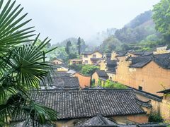 -杨家堂村