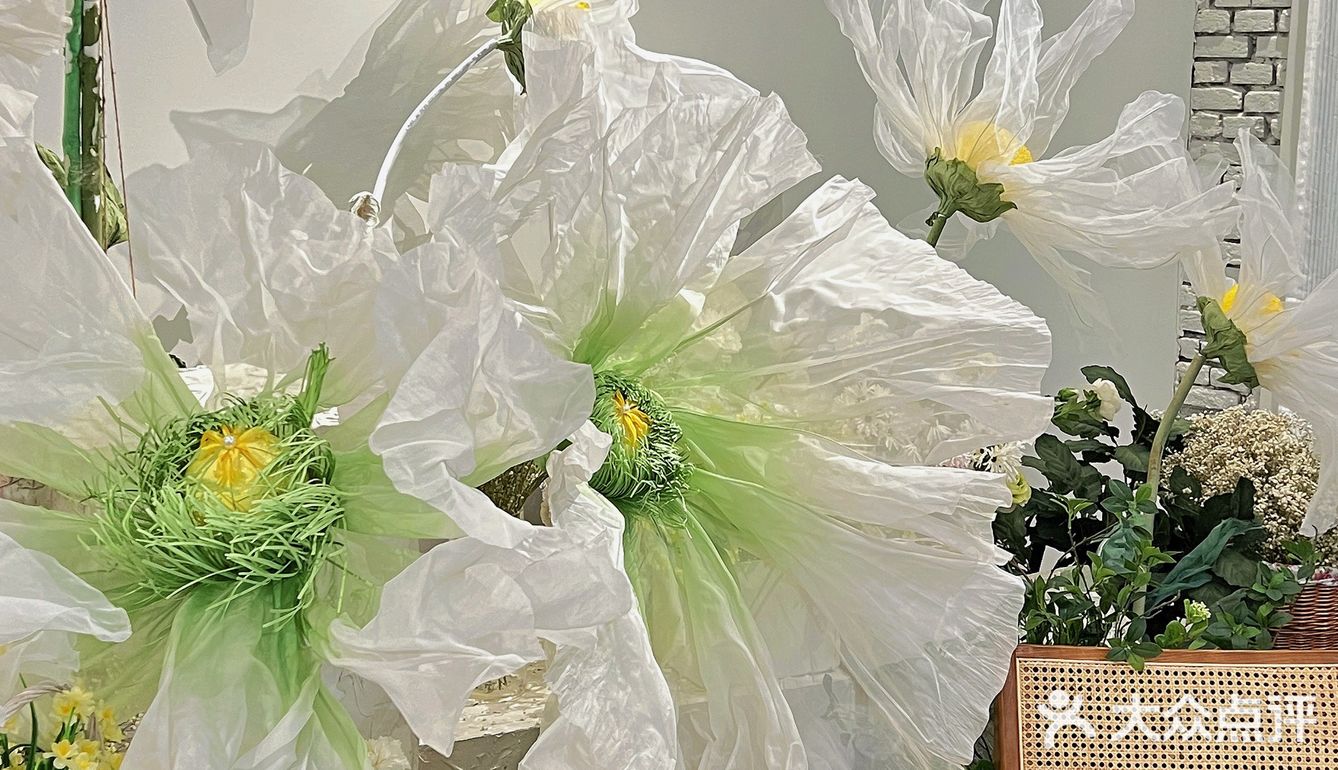 🌻沈阳Dmore Cafe 新场景｜值得二刷