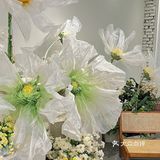 🌻沈阳Dmore Cafe 新场景｜值得二刷