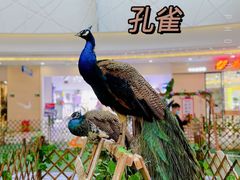 -保利MALL(天鹅湖店)
