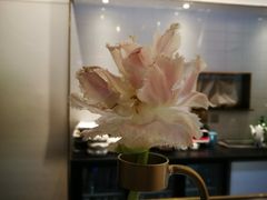 -朱迪小铺.半糖奶油蛋糕(海汇港店)