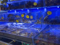 -77号渔船·蒸海鲜青岛菜(积米崖店)