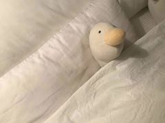 -西安交通大学口腔医院(主院区)