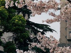 -兰溪青年公园