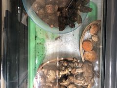 -野菌王•养生汤锅•野生菌火锅(大理漾濞路店)