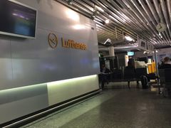 -法兰克福机场免税店(2号航站楼店)