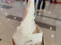 -野人先生Gelato(上海长宁龙之梦店)