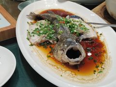 清蒸鲜鲈鱼-常州花鸟园酒店(西太湖品牌优选店)