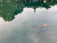 -百脉泉景区
