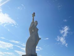 -长岛万鸟岛