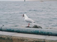 -青海湖二郎剑景区